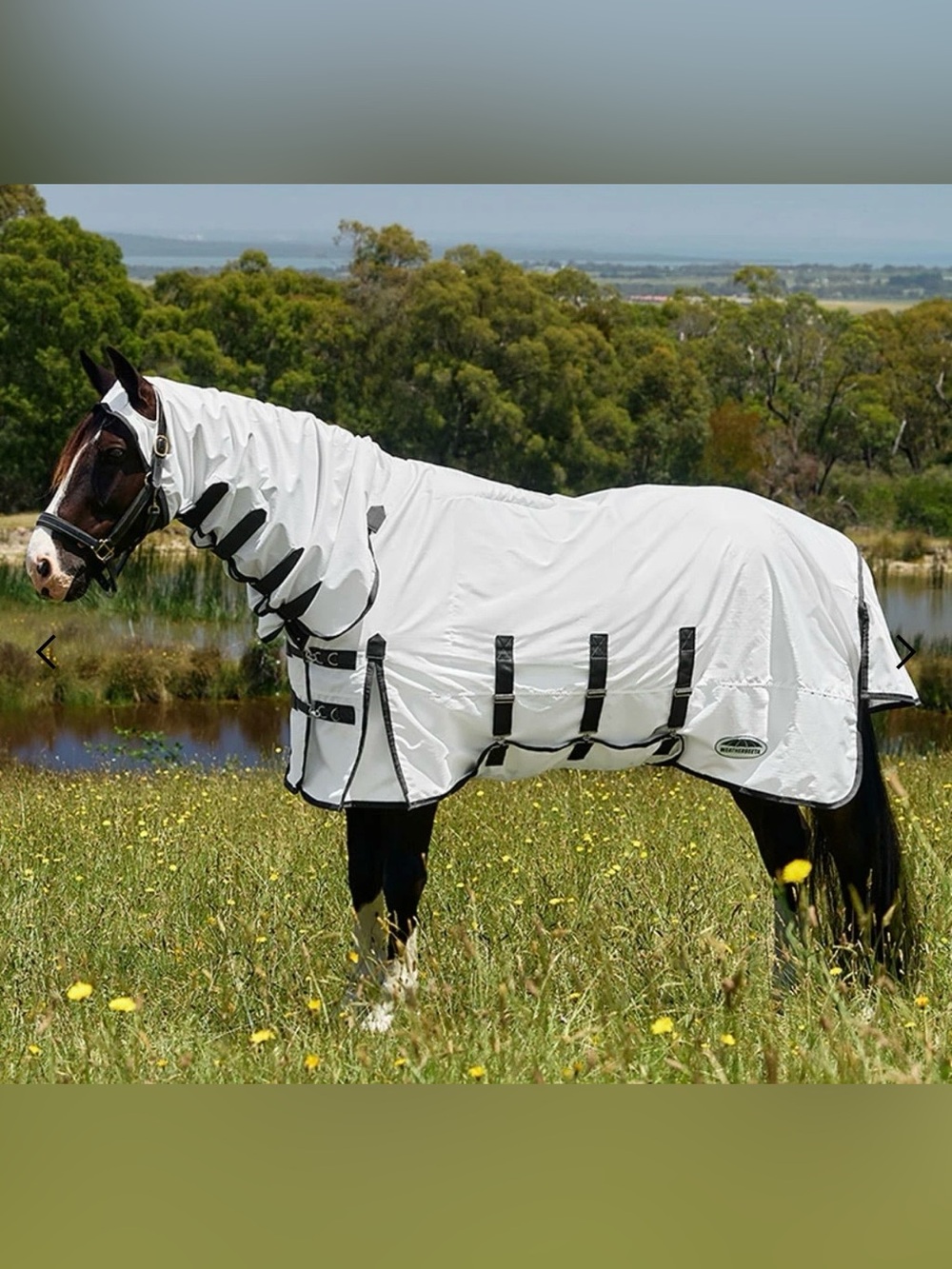 Weatherbeeta 81" ComFiTec Sweet Itch Shield Combo Neck.